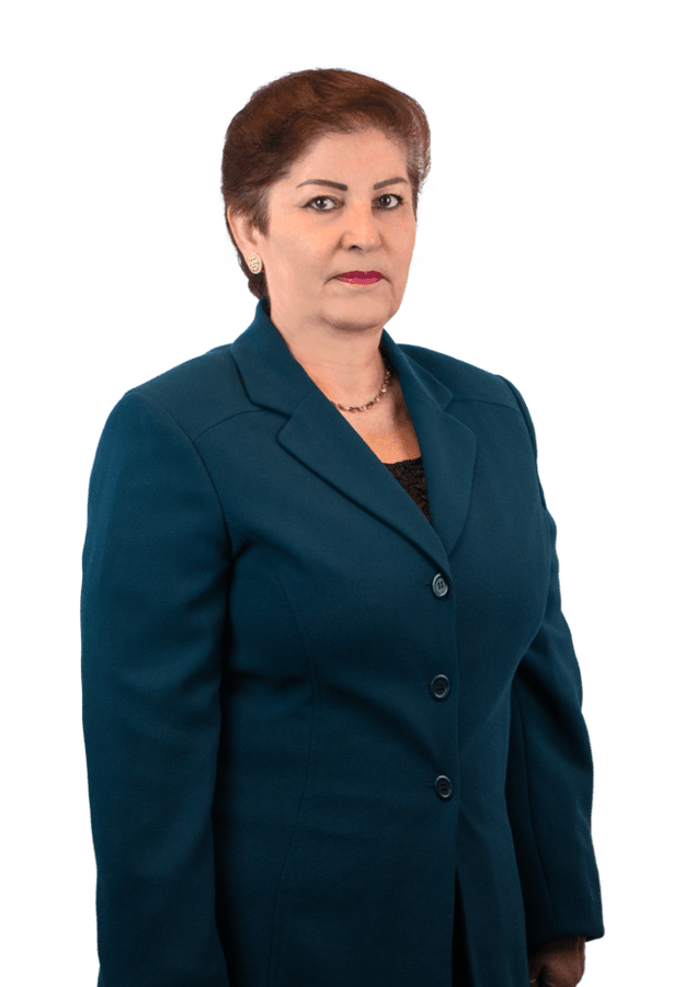 Real Estate Agent Ramza Boutros